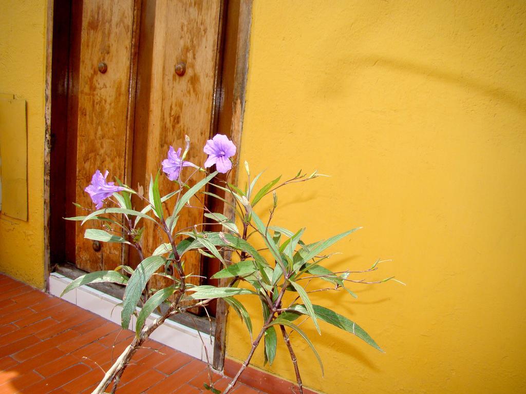 Hotel Casa Vieja Santa Marta  Extérieur photo